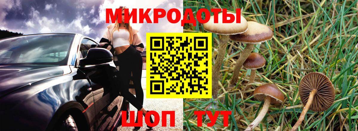 Боровичи  Галлюциногенные грибы мухоморы  Галлюциногенные грибы Magic Shrooms  Вход с VPN 